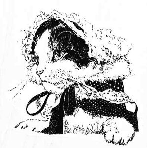 o[X^v {lbgԂĂL ؂̎ Ebh}Eg AX^v A[gX^v SEX^v