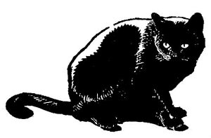 o[X^v L ؂̎ Ebh}Eg AX^v A[gX^v SEX^v