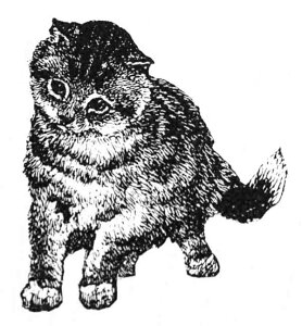 o[X^v m肽̔L ؂̎ Ebh}Eg AX^v A[gX^v SEX^v