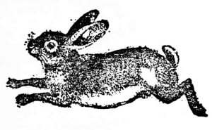 o[X^v ˂ĂETM ؂̎ Ebh}Eg AX^v A[gX^v SEX^v