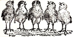 o[X^v ЂȒ̂ ؂̎ Ebh}Eg AX^v A[gX^v SEX^v