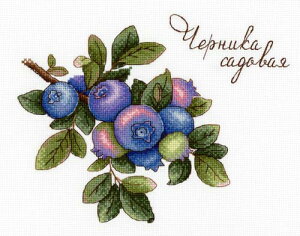 NXXeb` hJLbg MPX^WI^MP Studia rx[K[f 18ct A NXXeb`Lbg イ hJ