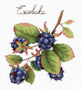 NXXeb` hJLbg MPX^WI^MP Studia Ȓ蕨EubNx[ 18ct A x[ NXXeb`Lbg イ hJ