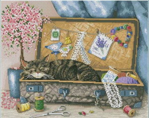 [֑ NXXeb` hJLbg I^ OLanTA El̕ 16ct L NXXeb`Lbg イ hJ