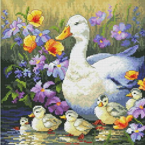 [֑ NXXeb` hJLbg I^ OLanTA Aq̉Ƒ 16ct   NXXeb`Lbg イ hJ