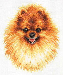 NXXeb` hJLbg }WbNj[h Magic Needle |jA 14ct   NXXeb`Lbg イ hJ