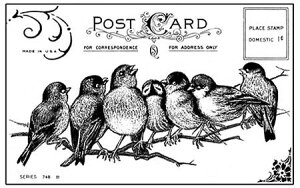 o[X^v o[h |XgJ[h A}Eg AX^v A[gX^v SEX^v