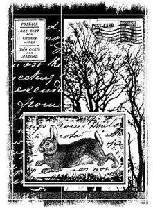 o[X^v ETMƗt̃R[W A}Eg AX^v A[gX^v SEX^v