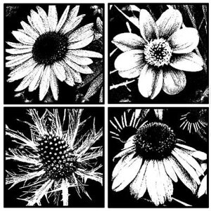 o[X^v Ԃ̃R[WE^C A}Eg AX^v A[gX^v SEX^v