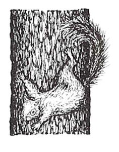 o[X^v ؓo胊X yA}Egz AX^v A[gX^v SEX^v