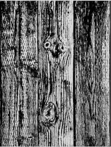 o[X^v ؖځEobNOEh yNOz o[X^v AX^v A[gX^v