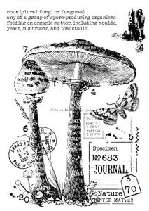 NAX^v Be[WȃLmR AX^v A[gX^v