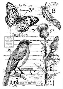 NAX^v R̃y[W AX^v A[gX^v