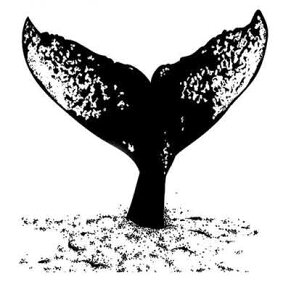 NAX^v NW̕ AX^v A[gX^v