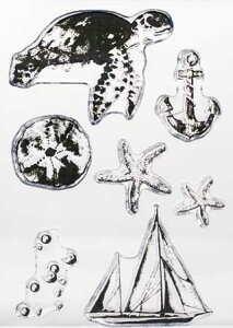 NAX^v AChp_CX AX^v A[gX^v