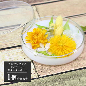 A}bNXTVFiV[ j Lbg ԍ 6 [tbV] [A}|bg [tOX Lbg v[g nhCh CeA G  ޗ   H 