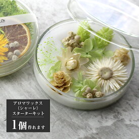 アロマワックスサシェ（シャーレ ） キット 花材 6種 ナチュラル [花 誕生日 おしゃれな ギフト プレゼント ルームフレグランス ハンドメイド インテリア 雑貨 サシェ 作り方 材料 手作り 飾り 工作 小学生 自由研究 夏休み 簡単]
