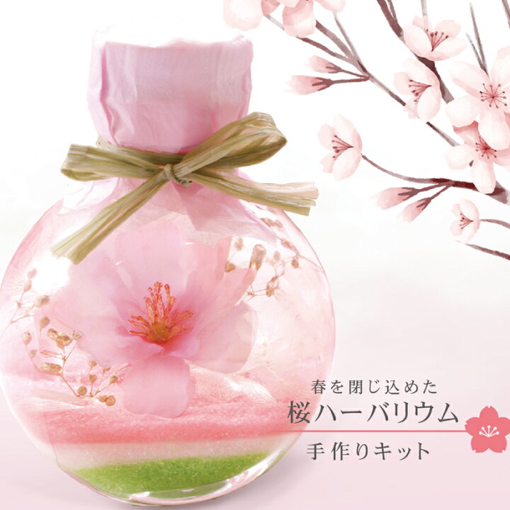 楽天市場 桜 ミニ ハーバリウム 手作り キット 記念日 誕生日 ギフト おうち時間 プレゼント ドライフラワー ハンドメイド 春 お花見 母の日 インテリア 雑貨 花 プリザーブドフラワー Grace Home