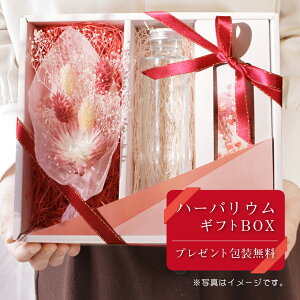 母の日 手作りキットの人気商品 通販 価格比較 価格 Com