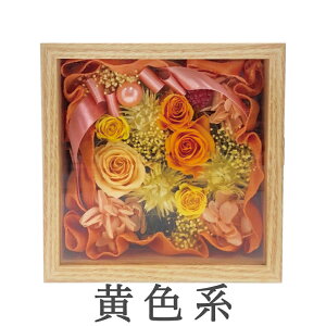 Mtg vU[uht[ KX{bNXiLjTCY t[Mtg LO v[g Mtg   ꂳ c  a j ސE hV̓ Ê  P Ď җj