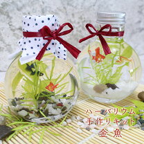 楽天市場】ハーバリウム キット 海の通販