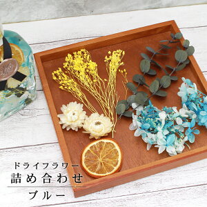 hCt[ 5 lߍ킹 u[ [ ԍ lߍ킹  nhCh CeA G z XCXIW [J n[oE A}bNX]