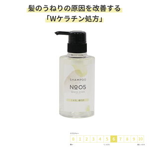 Tꔄi Xg[gPA Vv[ 300ml [GRACE HOME BEAUTY No.05]  Ȗ k  ˂ L Az ̖ P W P` z ~J C 30 40 50 60 eꔄ