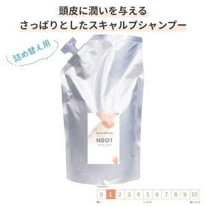 Tꔄi XJvPA lߑւp Vv[ 1000ml [GRACE HOME BEAUTY No.01] yvZ^ i[XQ qA_ XJvPA eꔄ