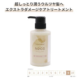 サロン専売 エクストラダメージケア トリートメント 300g(ml) [GRACE HOME BEAUTY No.03] 高保湿 乾燥 ハイダメージケア ブリーチ 太毛 硬毛 ダメージ毛