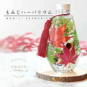 ݂ n[oE Lbg Ehr [H  Mtg v[g  gt ݂ hCt[ nhCh CeA G KX r Vo[ H w R ċx 