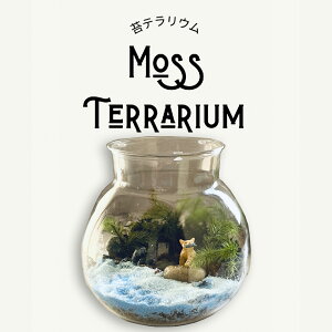  eE Lbg ۂ悭eEpe   Ϗܗp eELbg tBMAt H w R HLbg ȒP a [NVbv