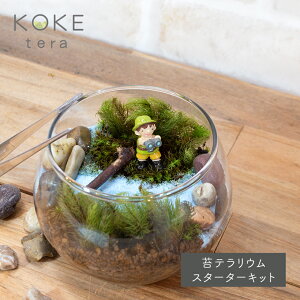観葉植物 プレゼント 男性の人気商品 通販 価格比較 価格 Com