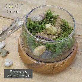 楽天市場 観葉植物 種類 植物 バラ 花 観葉植物 花 ガーデン Diy の通販