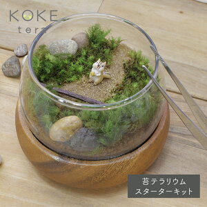 観葉植物 プレゼント 男性の人気商品 通販 価格比較 価格 Com