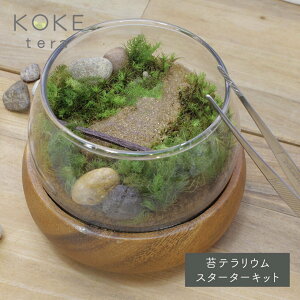 ۃeELbg [GRACE HOME] [ 琬 ͔| [NVbv RPeE RPE eE Lbg Cxg Mtg v[g a nhChLbg  l̍H HL