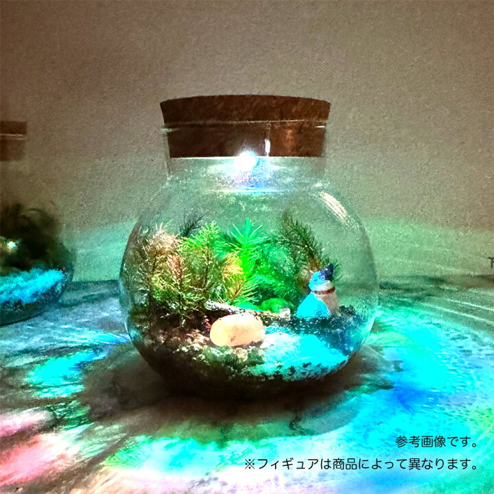楽天市場】苔テラリウム キット LEDライト カワウソ フィギュア付き 【お問い合わせNo.16】	コケリウムケースLED付き	【リユース品】