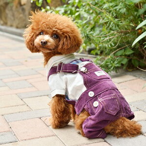 ybgEFA@yTINOTITO@R[fCTybgzXSESTCY@TT17