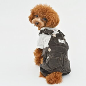 ybgEFA@yTINOTITO@R[fCTybgzMELTCY@TT17