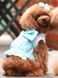 ybg@yGODPIVA@XgCvo[s[Xz@IVȂ񂿂Ɂ