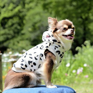 ybgEFA@yTINOTITO@qEtp[J[@ItzCgEx[WzSEMELEXLEXXLTCY@TT19