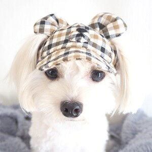 テディベア 犬の通販 価格比較 価格 Com