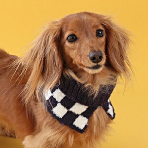 ybg}t[@yD'schat@sjbg}t[@bhElCr[EJ[L@S`L 3TCYz