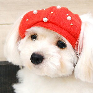 ybgpXq@yGarden Of Eden@p[x[Xz@3J[@IVȂ񂿂Ɂ