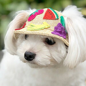 犬用ペット服 麦わら ハットの人気商品 通販 価格比較 価格 Com