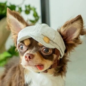 ybgpXq@yGarden Of Eden@I[KjbNRbgLXPbg@3J[@XS`MTCYz@IVȂ񂿂Ɂ