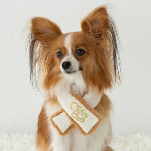 ybg}t[@yCRAZYBOO@Lg{A}t[@ItzCgzXS`MTCY@CB25AW