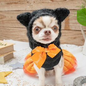 ペットウェア　【CRAZYBOO　ハロウィン　手編みニット帽子　黒猫】S〜Lサイズ　CB22AW