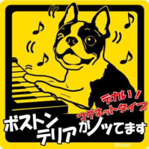 ybg@mbĂ܂XebJ[@y唻}Olbg^Cv@{XgeAz@AămmŁAhCuɂł`