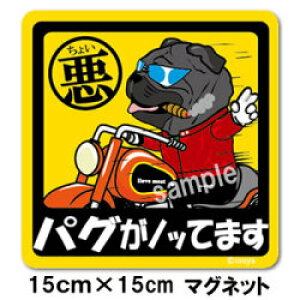 ybg@傢XebJ[@y唻}Olbg^Cv@pOz@AămmŁAhCuɂł`