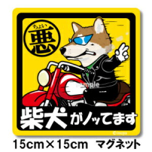 ybg@傢XebJ[@y唻}Olbg^Cv@Č@z@AămmŁAhCuɂł`